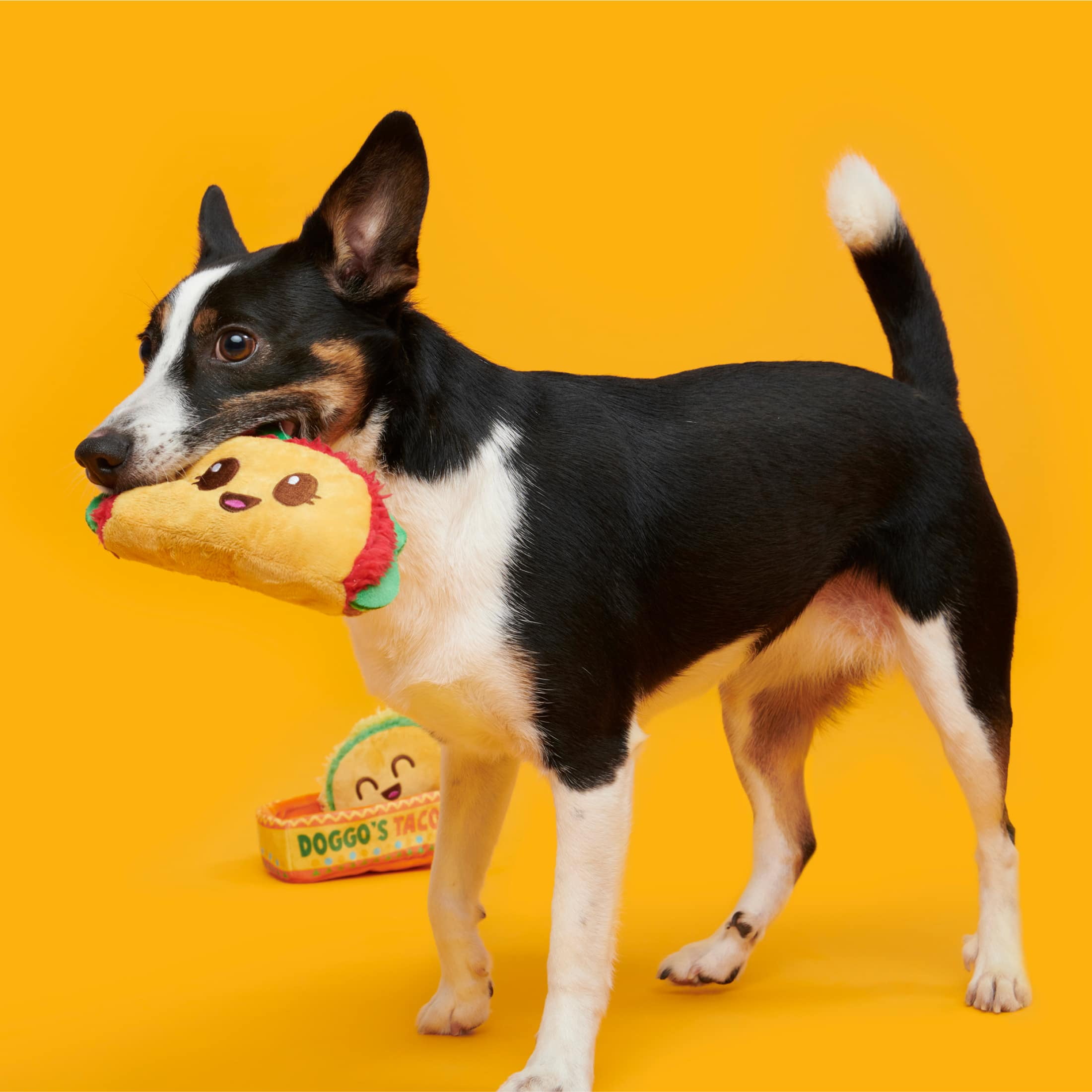 BARK Doggos Tacos Plush Multi-Part Dog Toy, Small to Medium Dogs
