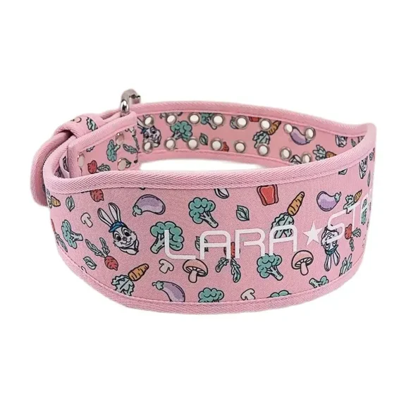 Fitness Waist Belt for Women Workout Weight Lifting Squat Deadlift Bench Press Training Sports Protective Gear Waist Support (Pink,XXS (waist 50-60cm))