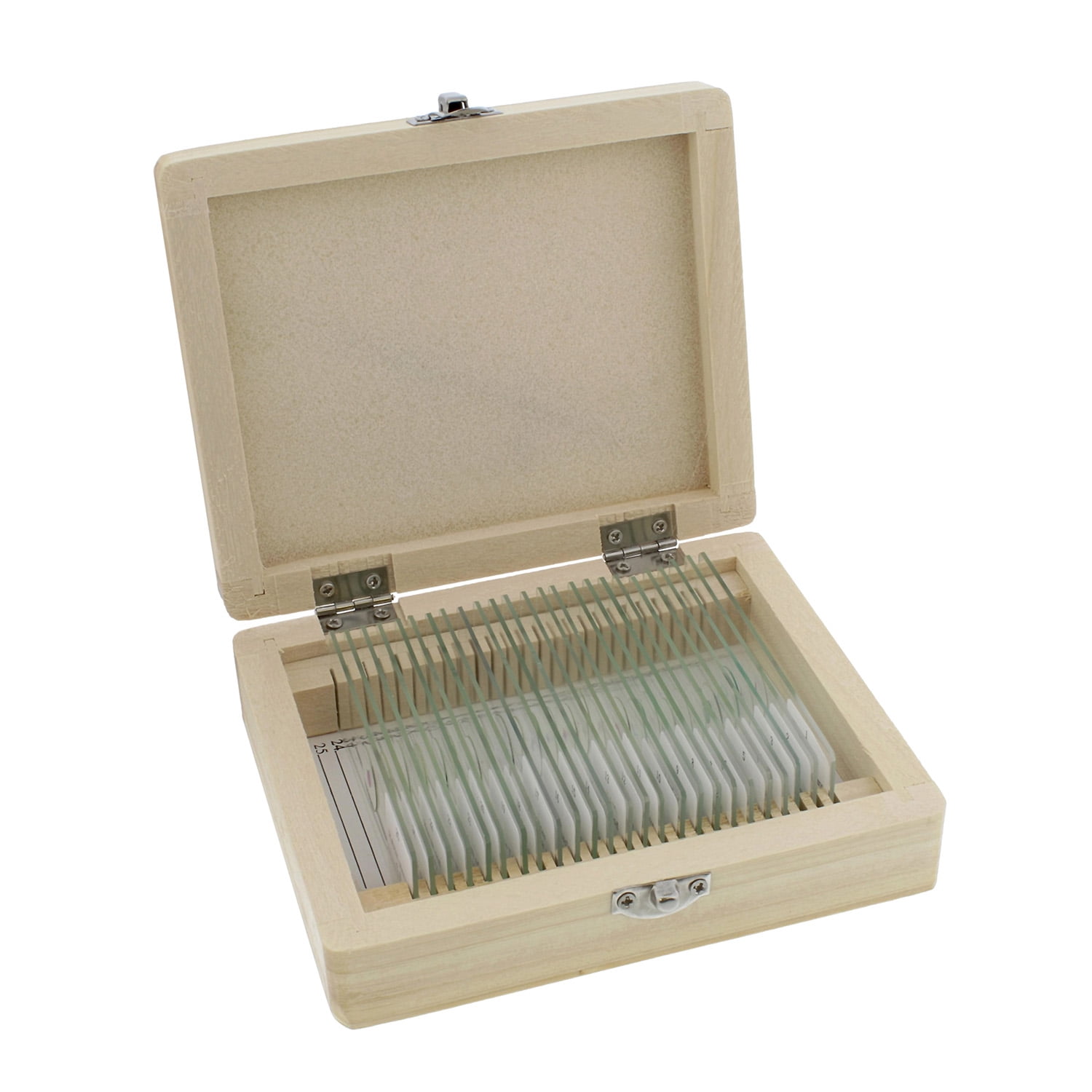 MonMed Prepared Microscope Slides 25 Pc Microscope Sample Kit with