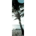 thumbnail image 3 of Bryant, Susan 7x14 Black Modern Framed Museum Art Print Titled - Cool Bimini Palm I, 3 of 5