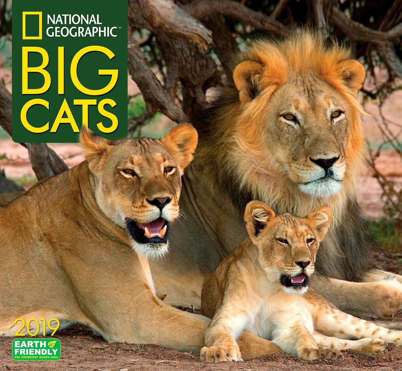 National Geographic Big Cats 2019 Calendar Other