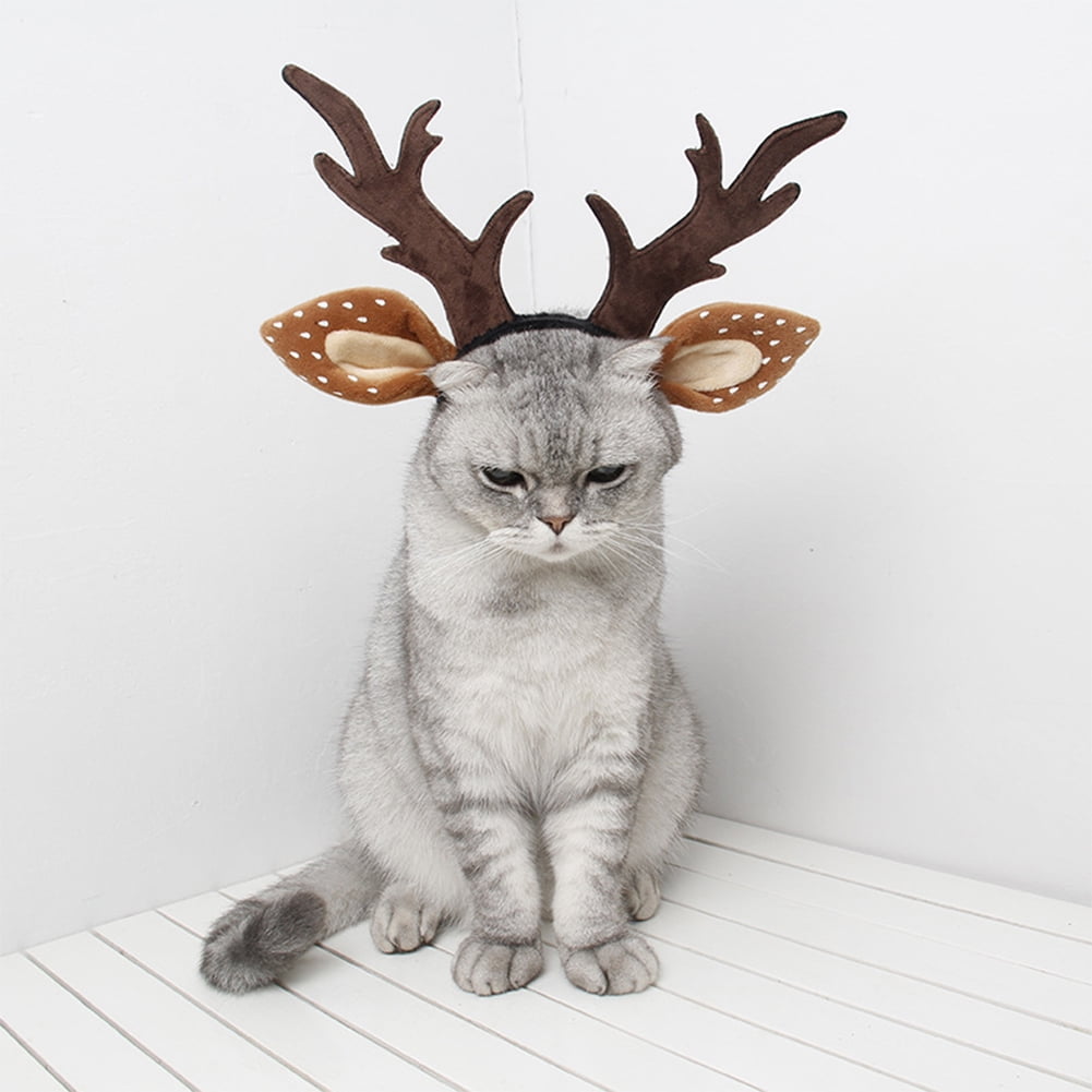cat reindeer costume