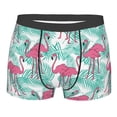 thumbnail image 4 of Goofa Flamingo Printed Men's Boxer Briefs Underwear, Moisture-Wicking Underwear, Trunk,Soft and Breathable Cotton Underwear-Small, 4 of 9