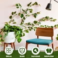 thumbnail image 4 of POINTERTECK 50Pcs Plant Climbing Clips Self-Adhesive Plant Climbing Wall Fixture Clips Butterfly Shaped Plant Support Clips Reusable Vines Fixing Clips Plant Wall Clips for Indoor Outdoor, 4 of 8