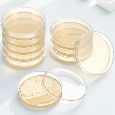 NICERIO 20Pcs Agar Plates for Science Experiment Practical and Easy to Use Laboratory Accessory