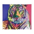 thumbnail image 4 of Pintura de diamante en apariencia especial taladro parcial imagen de tigre manualidades de de mosaico de bricolaje 40 *30 cm perfecl Pintura de diamante 5D DIY, 4 of 8