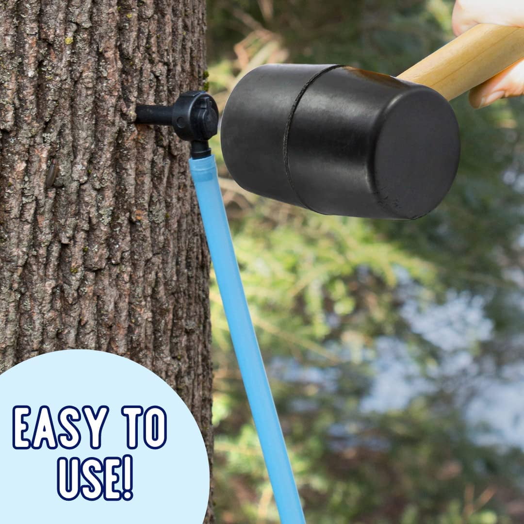 Maple Surup Maple Syrup Tree Tapping Kit, 12 Set Maple Tree Extractor ...