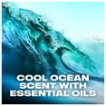 thumbnail image 4 of Axe Deodorant Body Spray with Essential Oils, Cool Ocean, 4 oz, 4 of 4