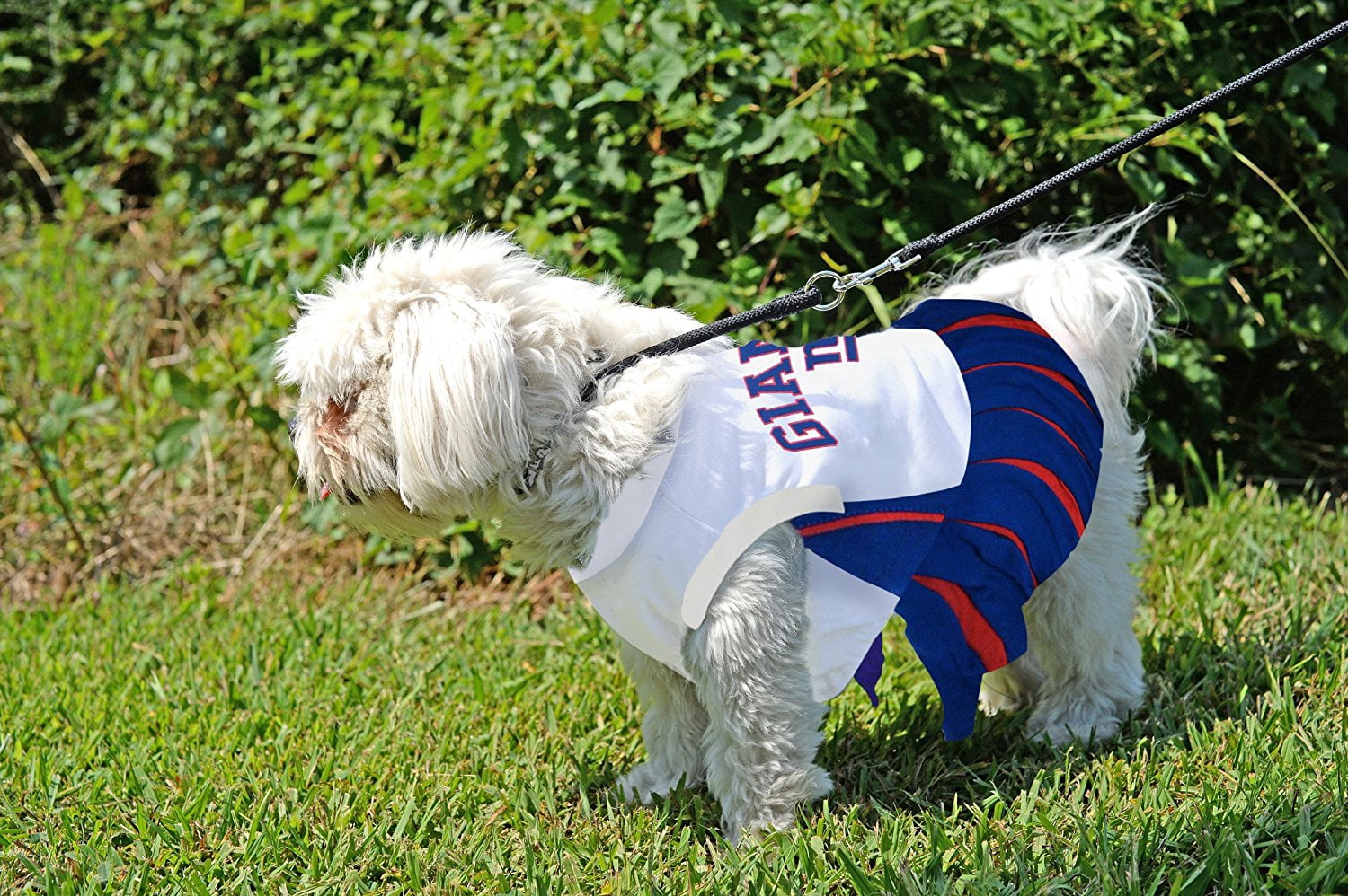 Pets First NFL New York Giants Cheerleader Outfit, 3 Sizes Pet Dress Available. Licensed Dog Outfit