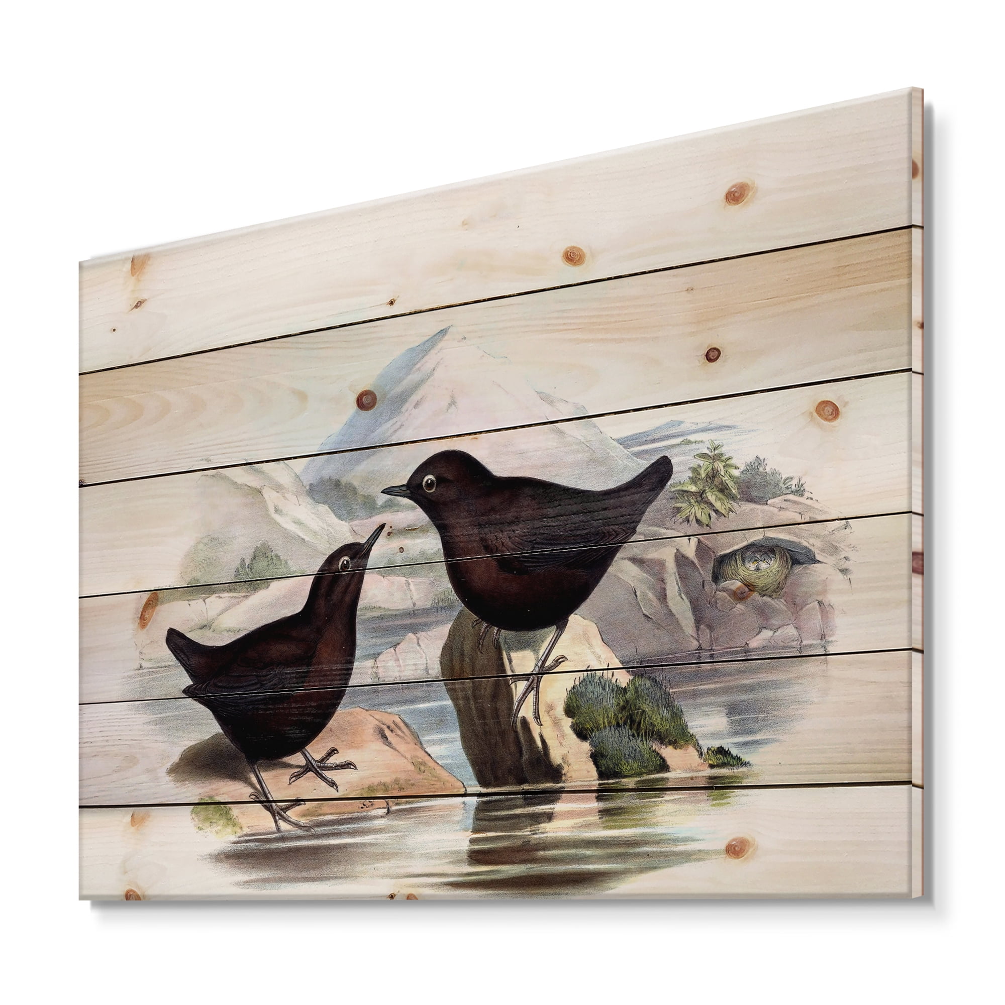 Designart 'Vintage Countryside Two Birds' Farmhouse Print on Natural Pine Wood