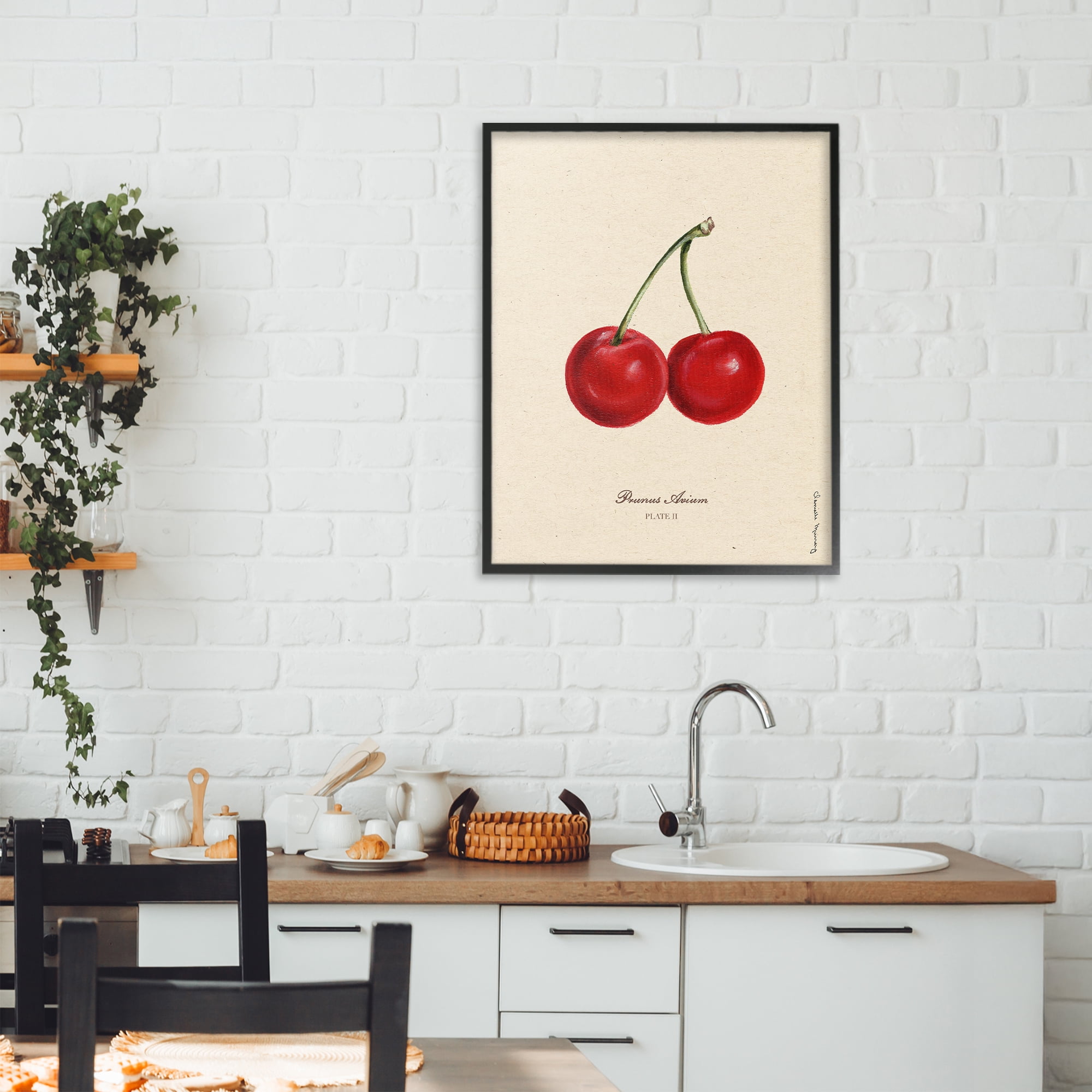 Stupell Industries Cherry Fruit Portrait Black Framed Giclee Art, design by Danielle Murray