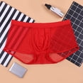 thumbnail image 2 of BJUTIR Panties For Men Low Rise Briefs Ice Thread Underpants Fashion Ride Up Underwear Pant, 2 of 9