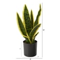 thumbnail image 2 of Planta de serpiente artificial casi natural de 35 cm con maceta negra, 2 of 4