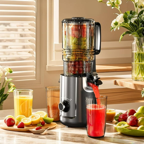 Hobsir 5.3-Inch Cold Press Juicer - Black