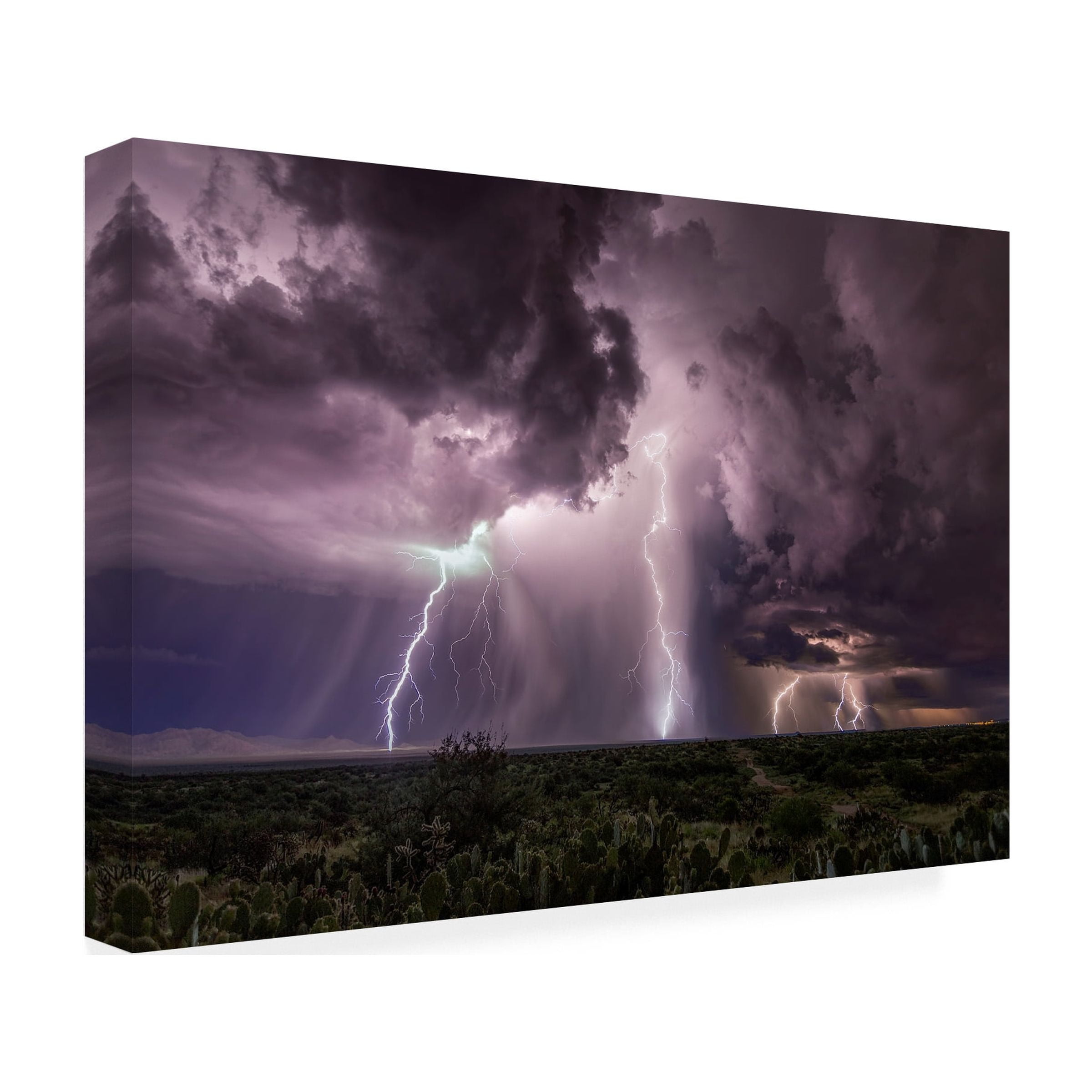 Danilo Cesar Faria 'Collision Course' Canvas Art