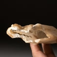 thumbnail image 5 of Calcite pseudomorph Castle from Aurangabad, Maharashtra, India, 5 of 5