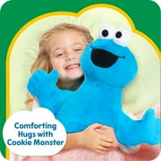 Sesame Street Large Plush Cookie Monster Baby and Toddler Toys, Ages 18 Months+