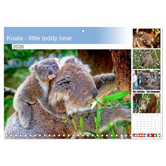 Koala - little teddy bear (Monthly Wall Calendar 2026 16.5 x 23.4 (open)), CALVENDO 14 Month Calendar