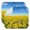 2 Pack Sunf, variant on 2 Pack Sunflower with Quote Design Pads - Thick 3-Layer Foldable Drying Mat