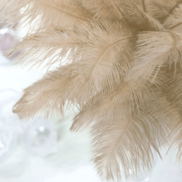 Balsa Circle 12 Pieces 13"-15" Beige Authentic Ostrich Feathers Centerpieces