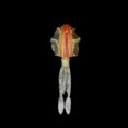 thumbnail image 3 of Ycolew Luminous Octopus Squid Skirt Lures Bait Glow in Dark Soft Trolling Bait Fishing Lure Saltwater 3.94in/10cm Luminous, 3 of 3