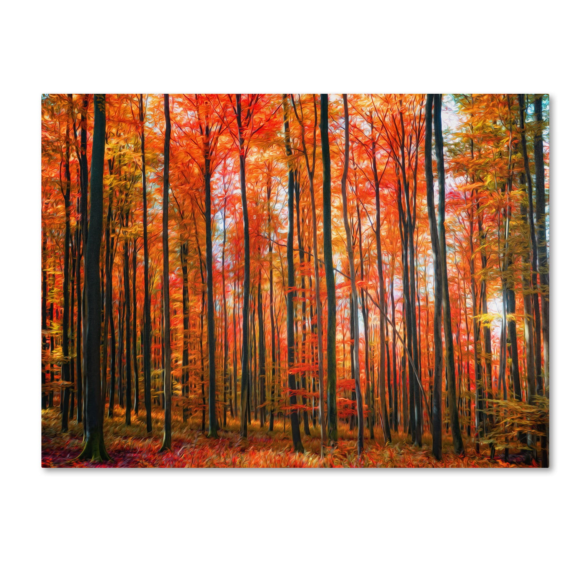 Trademark Fine Art "Dominated" Canvas Art by Philippe Sainte-Laudy