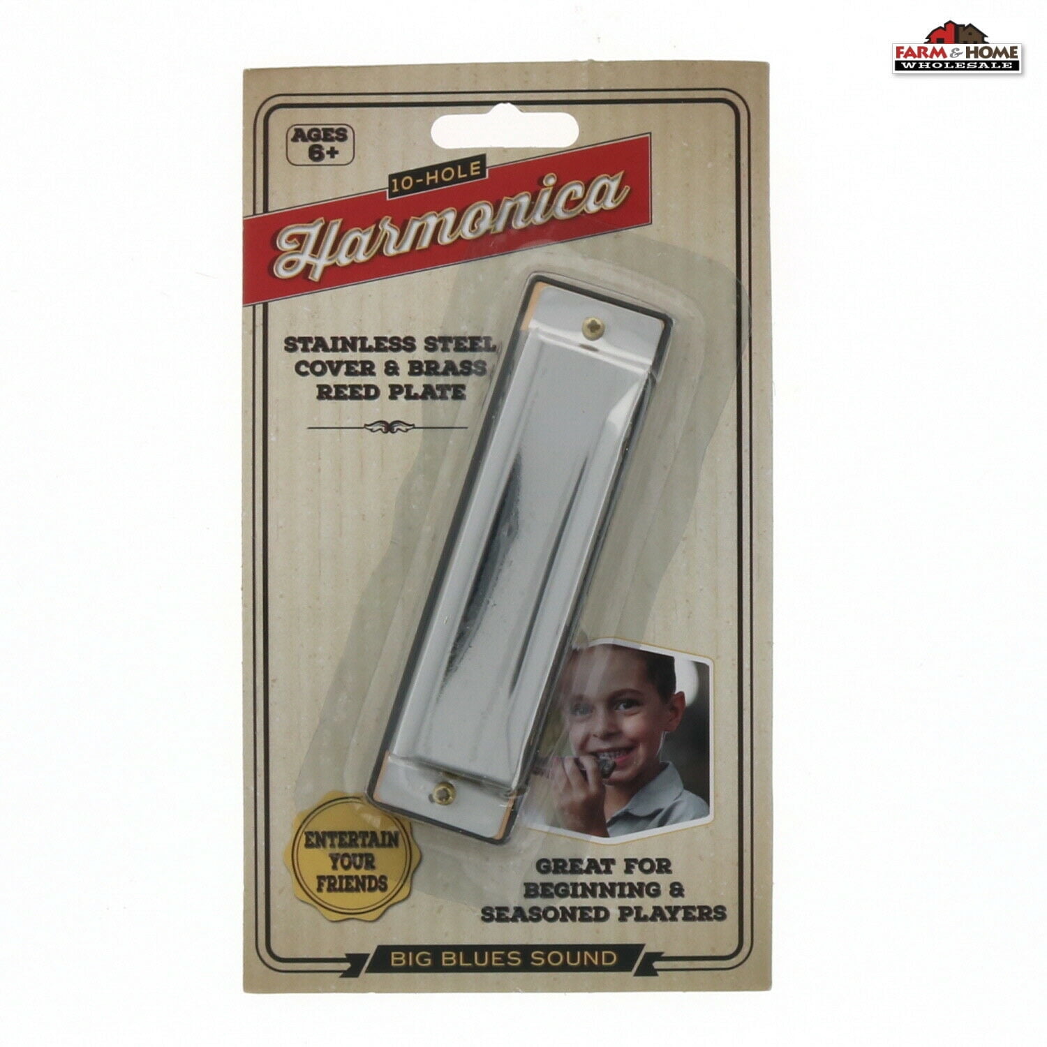 10 Hole Stainless Steel Harmonica Big Brass Reed Plate ~ NEW - Walmart.com