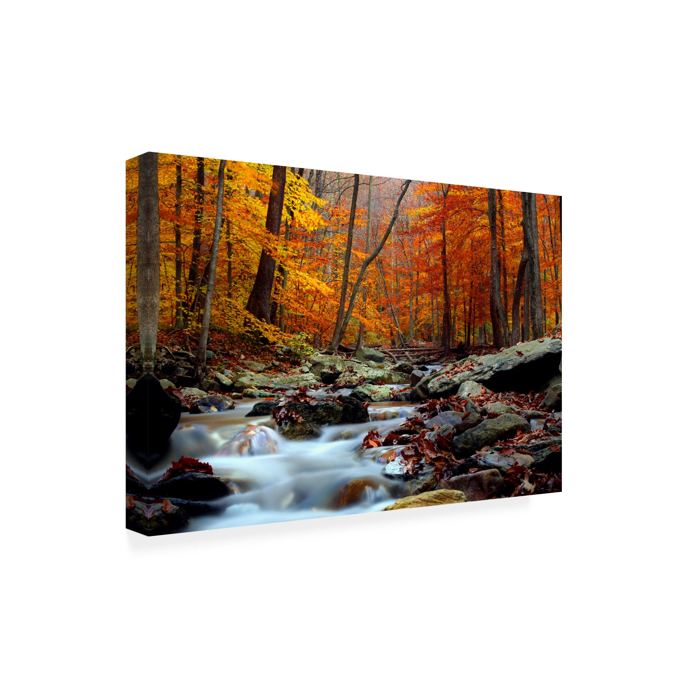 CATeyes 'Ultimate Truth' Outdoor All-Weather Wall Decor