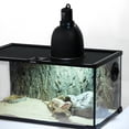 thumbnail image 4 of PTSCBS 5.5-Inch Deep Dome Lamp Cap Lamp Fixture,Optical Reflection Cover for Reptile Glass Terrariums 2 Packs E26, 4 of 7