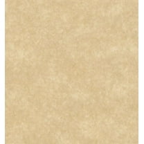 Aged Parchment Paper on 65 Lb Cover. 50 Sheets 8.5 X 14