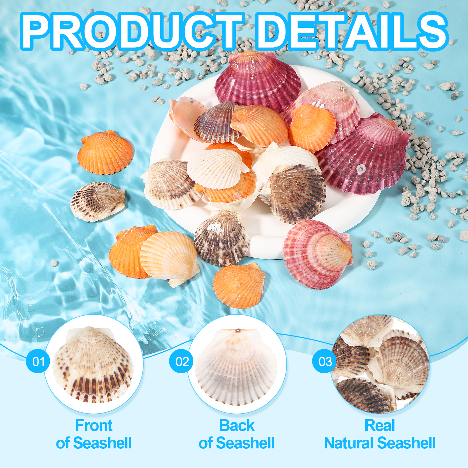 Uxcell 60Pcs Scallop Shells, 1.6"-2" Natural Sea Shells Seashell Bulk for DIY Painting Fish Tank Landscape Beach Theme Party Wedding and Home Decoration, Brown