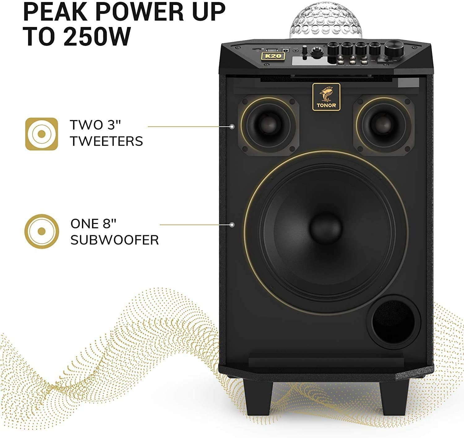 Tonor Portable Bluetooth Wireless Karaoke Machine with 2 Wireless Microphones, Black
