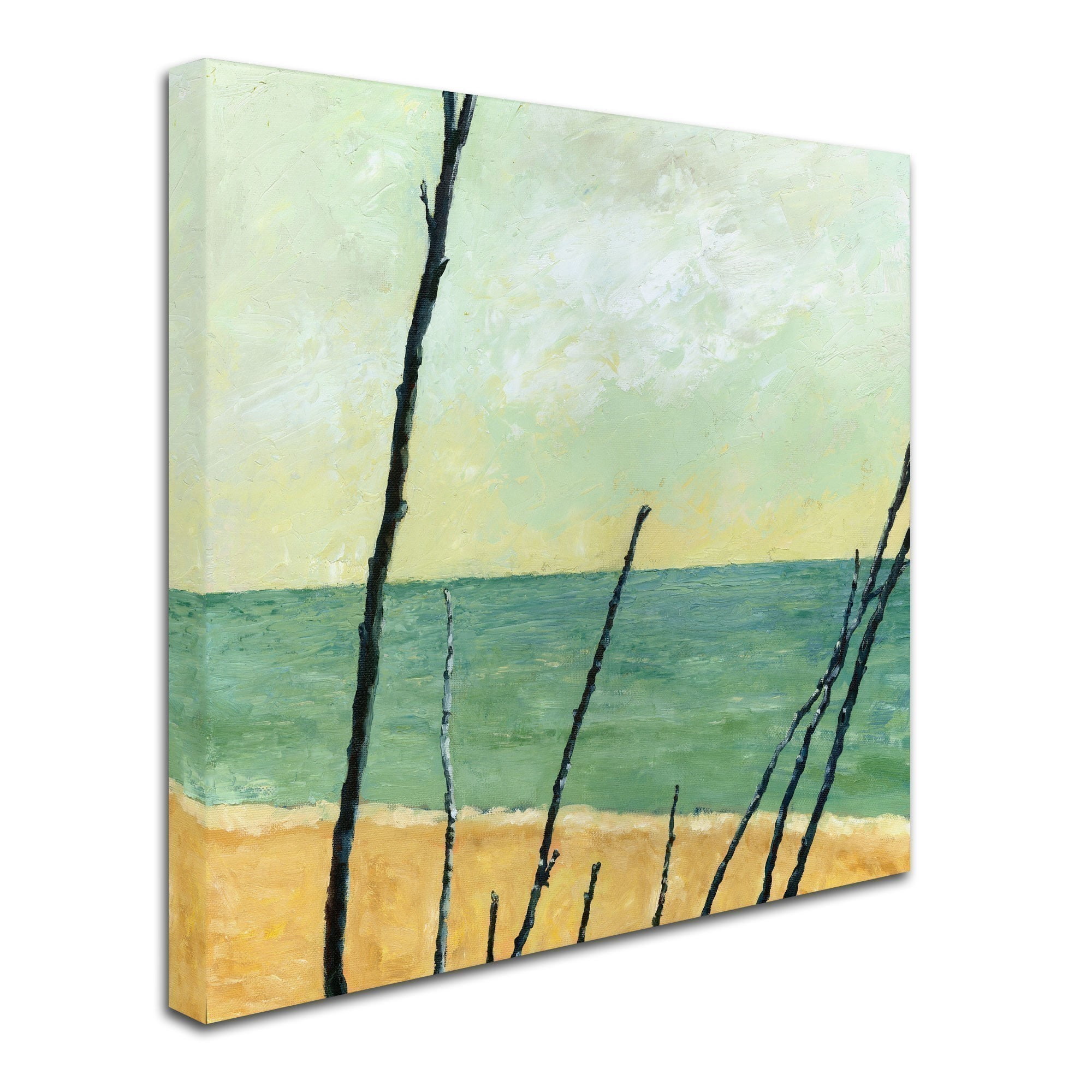 Trademark Fine Art "Branches on the Beach" Canvas Art by Michelle Calkins