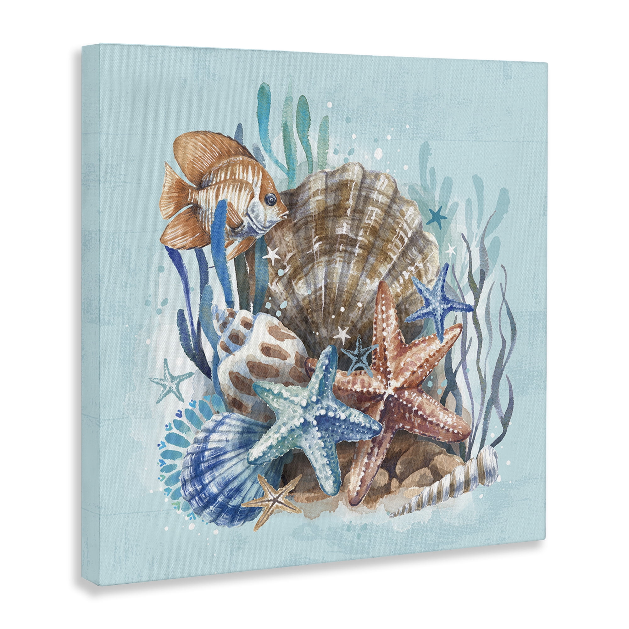 Stupell Industries Seashell Still Life Coastal Painting Gallery Wrapped Canvas Art Print Wall Art, 24 x 24