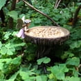 thumbnail image 3 of SLYNSHome Vintage Bird Feeder for Outside Resin Freestanding Birdbaths & Birdfeeder,Bird Baths for Garden Patio Yard Lawn Decor, 3 of 8