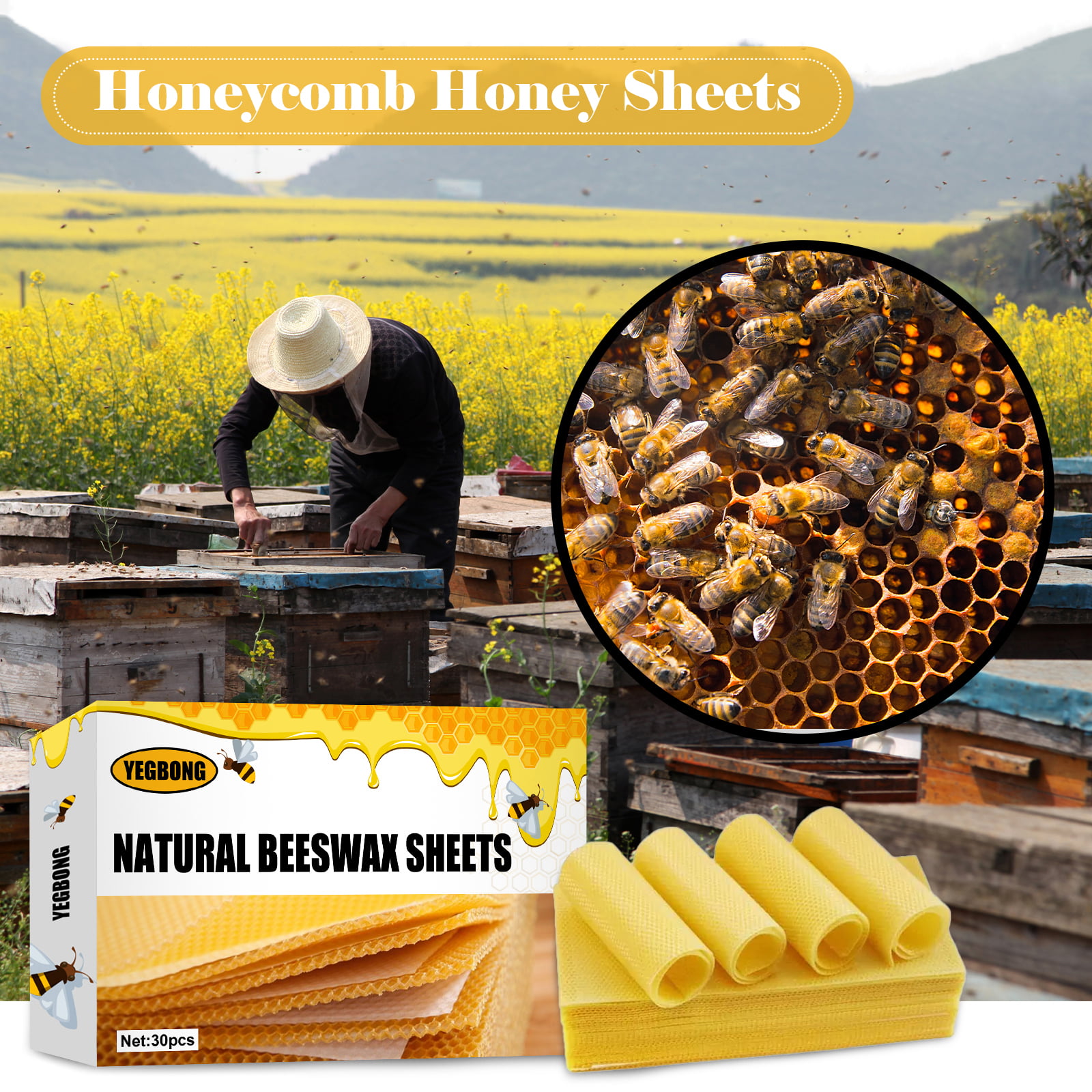 Yegbong 10Pcs Bee Honey Sheets Beeswax Sheets Beehive Foundation Honeycomb  Honey Frame Portable Wild Bee Beekeeper Tool For Beekeeper Supplies Hive  Tool Candle Making 