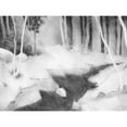 thumbnail image 3 of Green, Jacob 18x15 Black Modern Framed Museum Art Print Titled - Graphite Glade II, 3 of 5