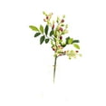 thumbnail image 1 of Fruits Riches Simulés Baie Verte Plant Olive Fruits Rouges B E An Branche Décoration Salon Fleur, 1 of 8