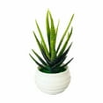 thumbnail image 3 of PLJFXXM 2 Pcs Large Artificial Succulent With Plastic White Pot Artificial Aloe Plant Fake Succulents Artificial Succulents Used for Garden Office Home Indoor Outdoor Decoration, 3 of 3