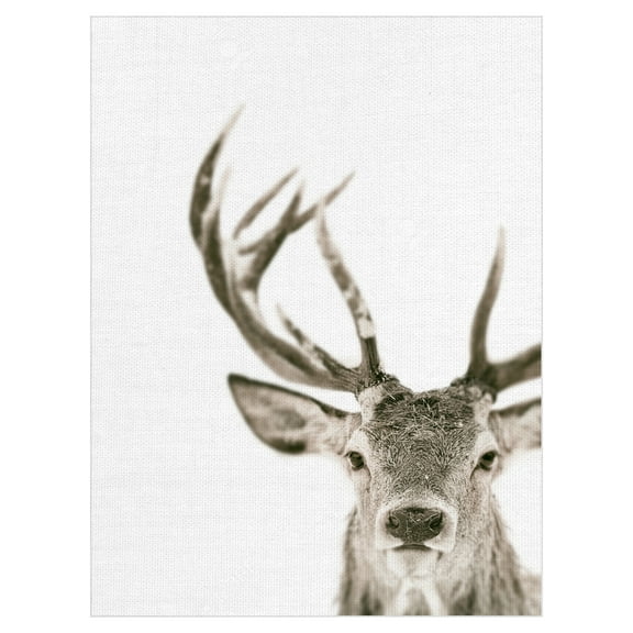 Fine Art Canvas Ciervo 1 Buck by The Studio Canvas Art Print