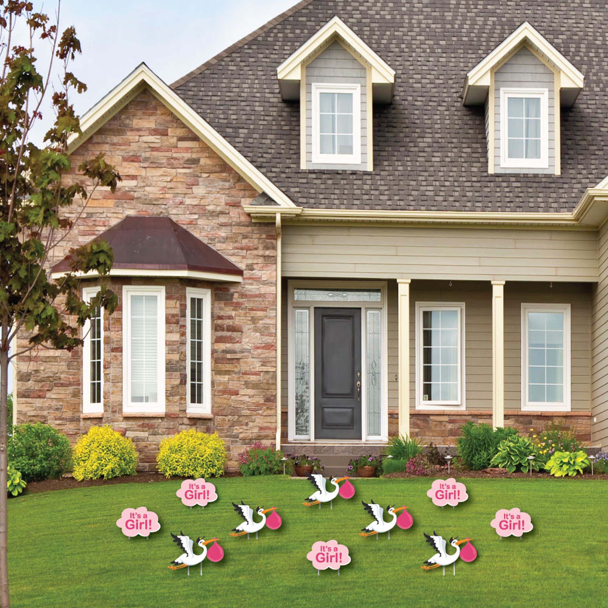 Big Dot of Happiness Girl Special Delivery - Baby Announcement Lawn Decor - Outdoor Pink It's a Girl Stork Baby Shower Yard Decorations - 10 Piece