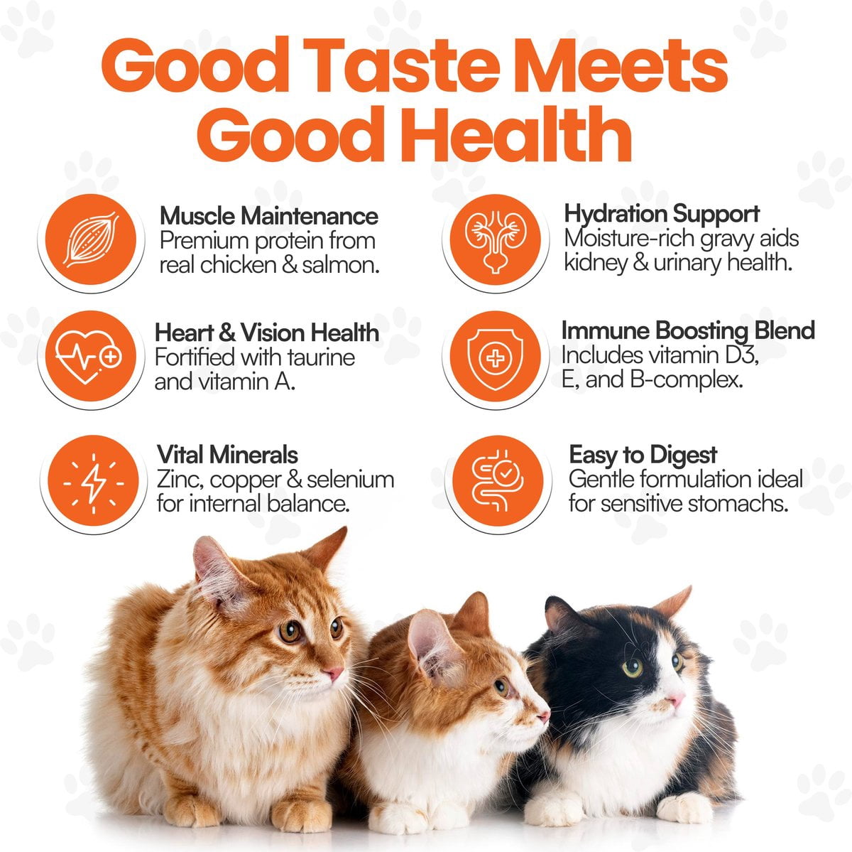 Cat by Scoochie Mixed Variety Pack Premium Gravy Salmon, Chicken Stew Wet Cat Food Topping, 16CT