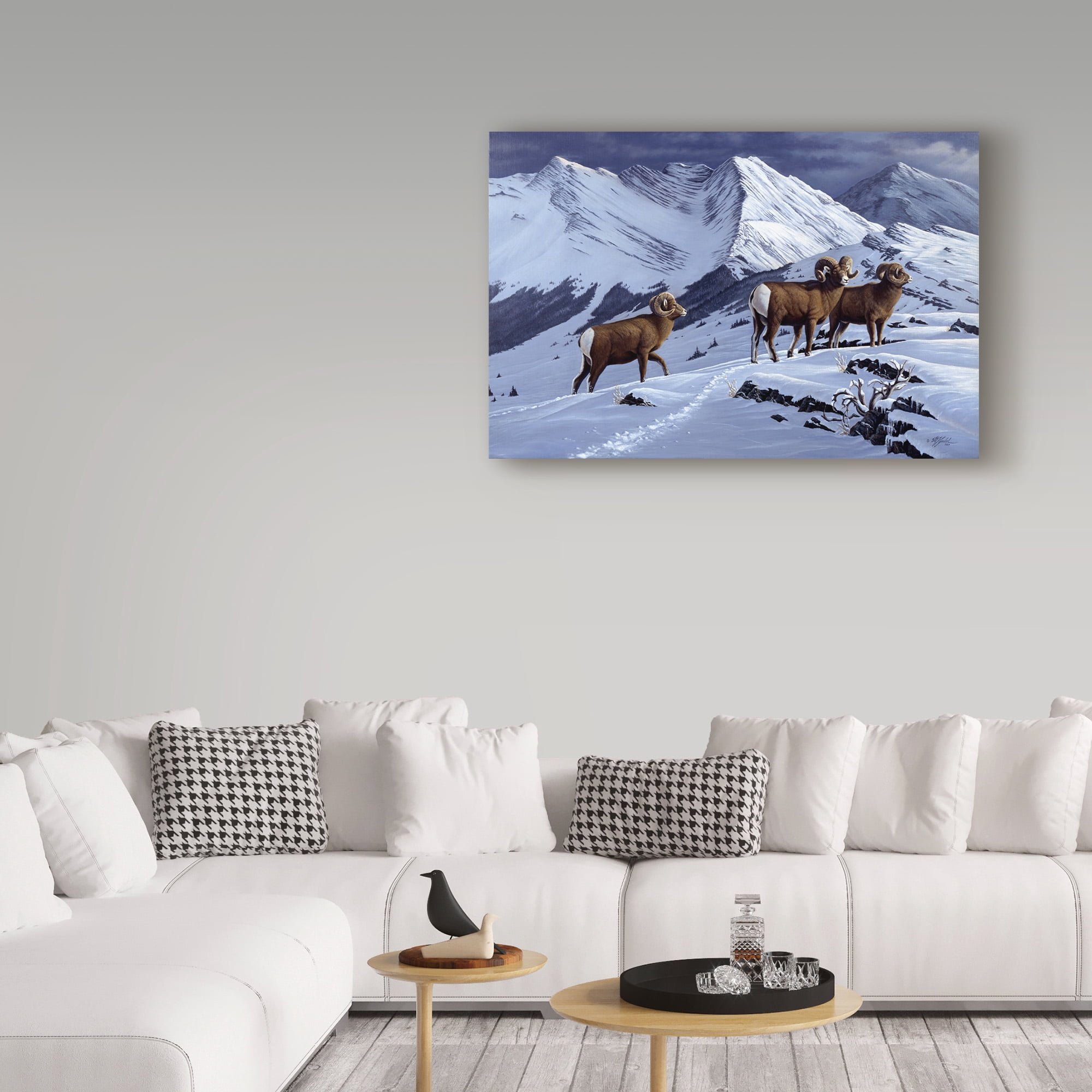 Trademark Fine Art 'High Country Rams' Canvas Art by Wilhelm Goebel