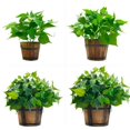thumbnail image 2 of Final Clearance! Wooden Retro Bucket Barrel Planters  Rustic Succulent Planter Box  Rustic Patio Planters Flower Pots for Plants Indoor Décor (Brown), 2 of 7