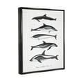 thumbnail image 4 of Stupell Industries Marine Life Orca Whales Diagram Grainy Pattern Graphic Art Metallic Gold Floating Framed Canvas Print Wall Art, Design by Lettered and Lined, 4 of 5