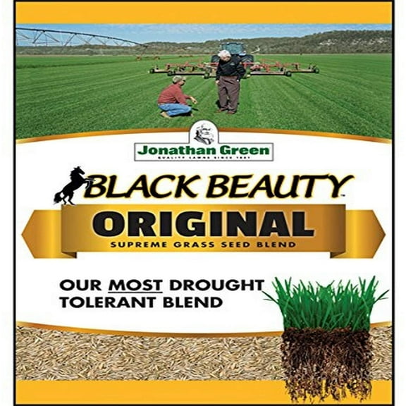 Jonathan Green 10317 Black Beauty Grass Seed Mix, 15 Pounds
