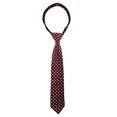 thumbnail image 2 of Spring Notion Boys' Pre-tied Woven Zipper Tie Medium Burgundy Diamonds, 2 of 4