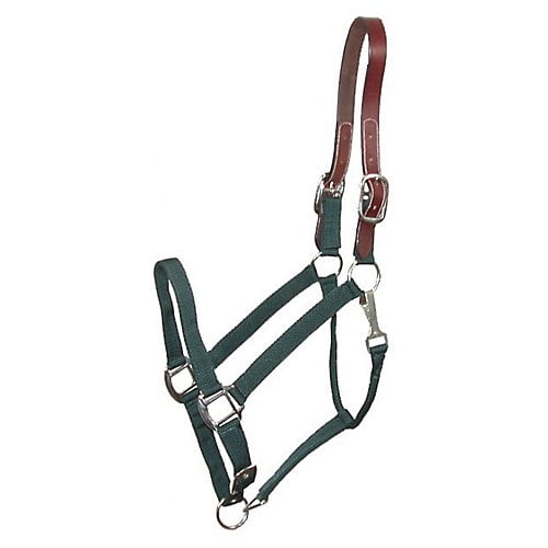 Gatsby Nylon Breakaway Halter Horse Hunter