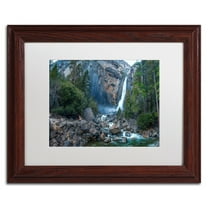 Trademark Fine Art "Yosemite National Park - California-IV" Canvas Art by David Ayash, White Matte, Wood Frame