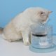thumbnail image 3 of Sjq Fuente Automática Para Gatos Con Grifo Dispensador Para Perros Bebederos Transparentes Para Gatos Mascotas, 3 of 4